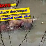 coperta-cadavru-rau2