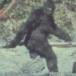 YETI